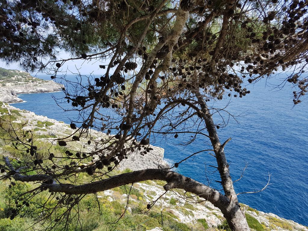 Villa Bocca Del Pozzo Gagliano del Capo Eksteriør bilde