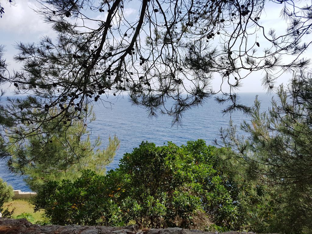 Villa Bocca Del Pozzo Gagliano del Capo Eksteriør bilde
