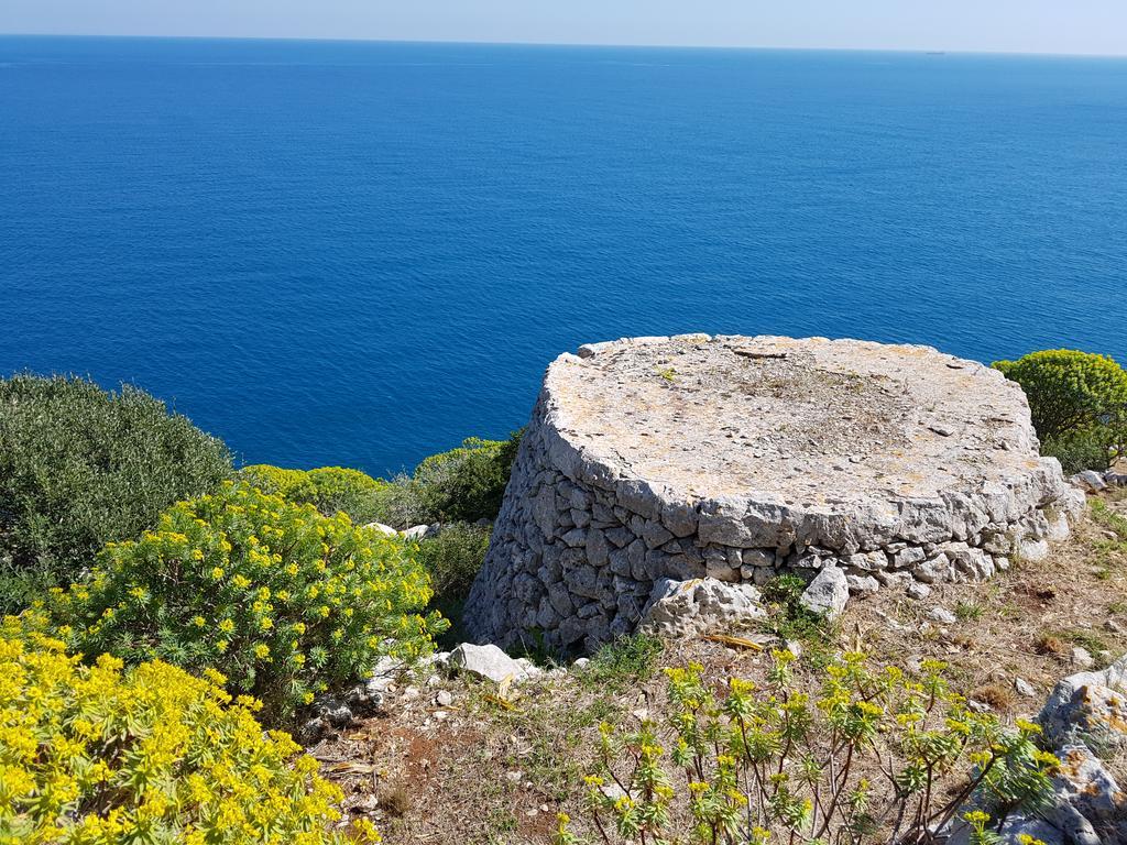 Villa Bocca Del Pozzo Gagliano del Capo Eksteriør bilde