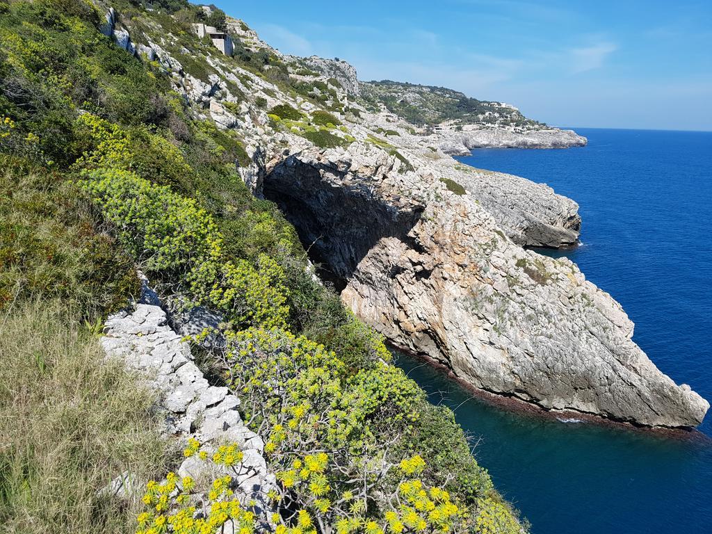 Villa Bocca Del Pozzo Gagliano del Capo Eksteriør bilde
