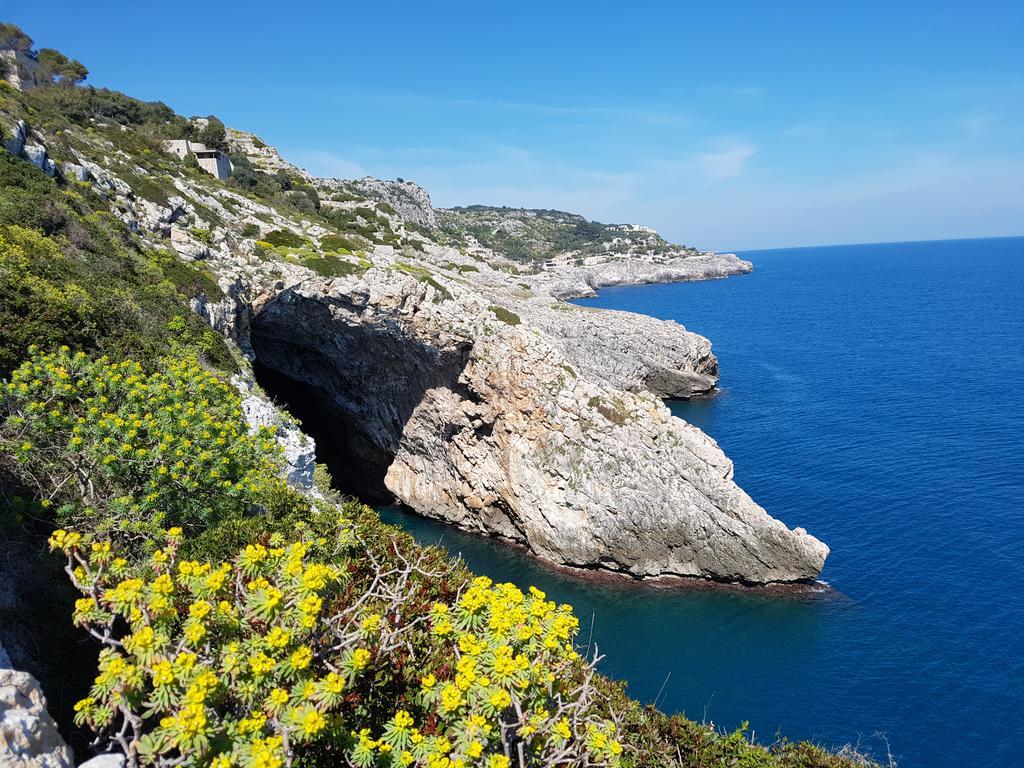 Villa Bocca Del Pozzo Gagliano del Capo Eksteriør bilde
