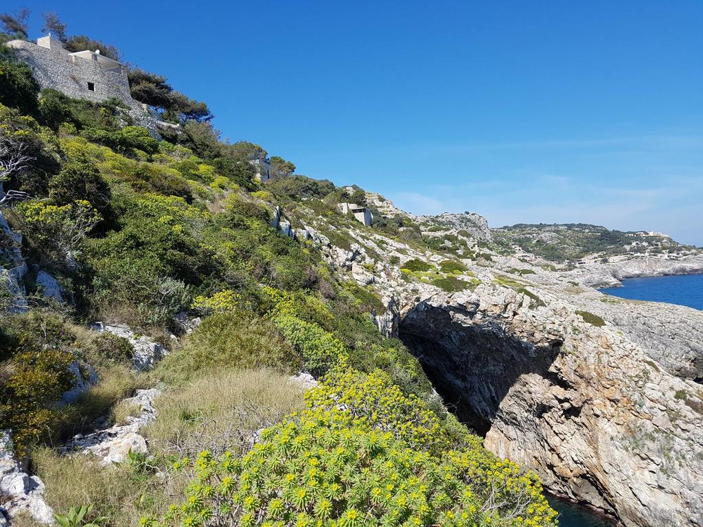 Villa Bocca Del Pozzo Gagliano del Capo Eksteriør bilde