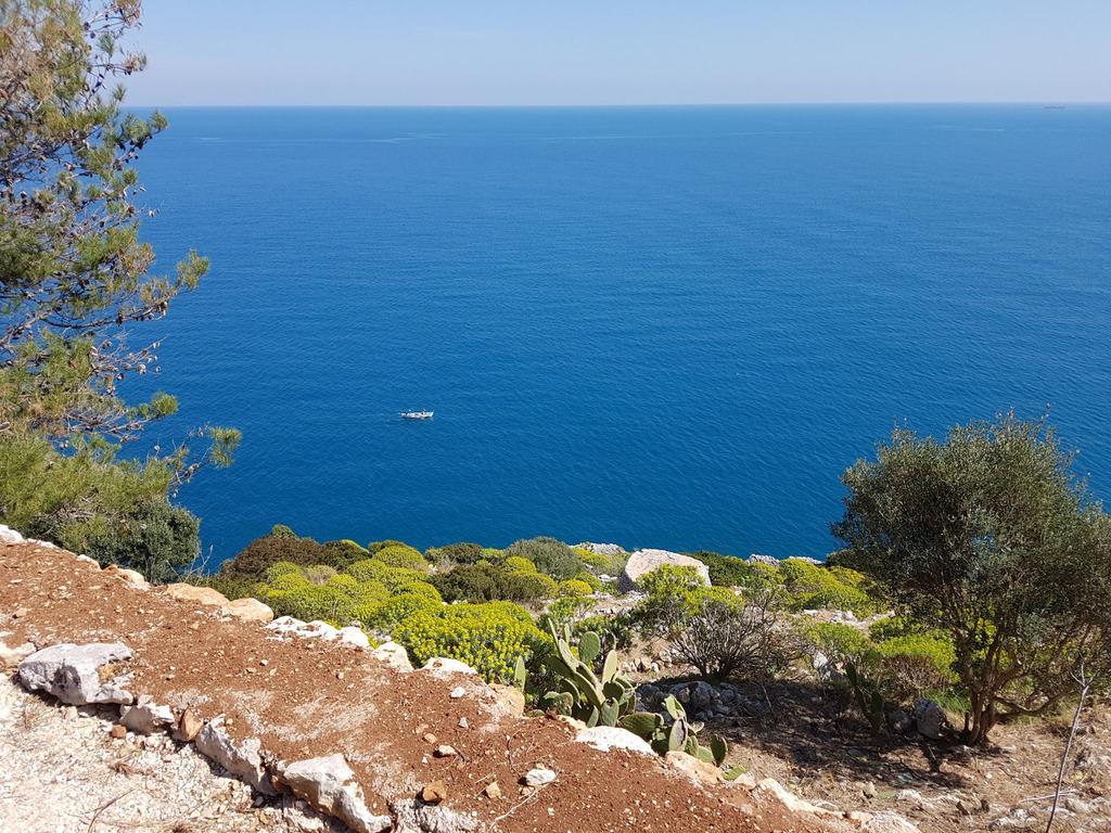 Villa Bocca Del Pozzo Gagliano del Capo Eksteriør bilde