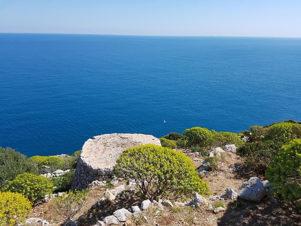 Villa Bocca Del Pozzo Gagliano del Capo Eksteriør bilde