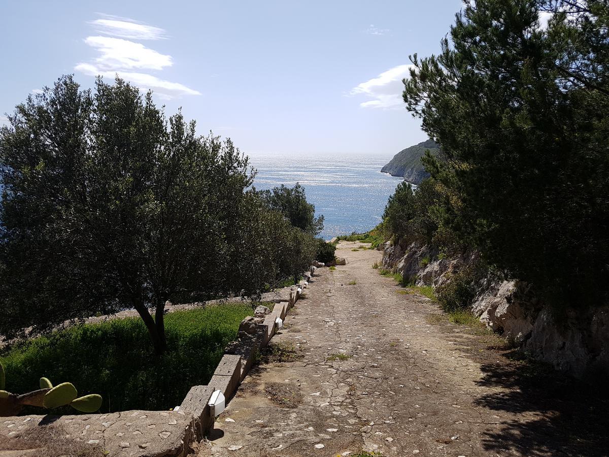 Villa Bocca Del Pozzo Gagliano del Capo Eksteriør bilde